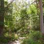 Lane Cove National Park