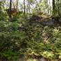 Lane Cove National Park