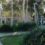NRMA Myall Shores Holiday Park