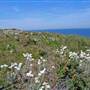 Munmorah State Conservation Area