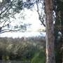 Myall Lakes National Park