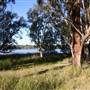 Myall Lakes National Park