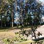 Myall Lakes National Park