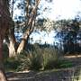 Myall Lakes National Park
