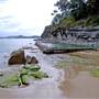 Pearl Beach