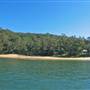 Patonga