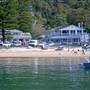 Patonga