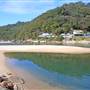 Patonga