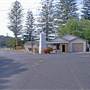 Patonga