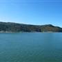 Patonga