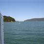 Patonga