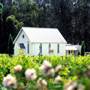 Pepper Tree Estate & Winery