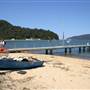 Patonga