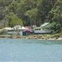 Patonga
