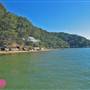Patonga