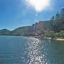 Patonga
