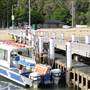 Patonga