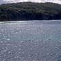 Seal Rocks - Myall Lakes National Park