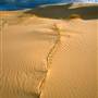 Stockton Dunes - Worimi National Park
