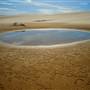 Stockton Dunes - Worimi National Park