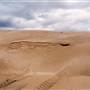Stockton Dunes - Worimi National Park