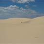 Stockton Dunes - Worimi National Park