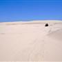 Stockton Dunes - Worimi National Park