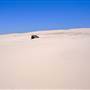 Stockton Dunes - Worimi National Park