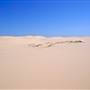 Stockton Dunes - Worimi National Park