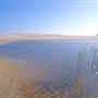 Stockton Dunes - Worimi National Park