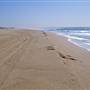 Stockton Dunes - Worimi National Park