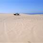 Stockton Dunes - Worimi National Park