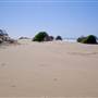 Stockton Dunes - Worimi National Park