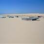 Stockton Dunes - Worimi National Park