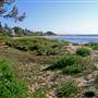 Toowoon Bay