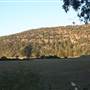 Wisemans Ferry