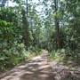 Wallingat National Park