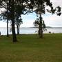 Wallis Lake - Coomba Park
