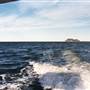Lion Island