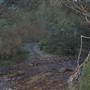 Lithgow Township & Surrounds