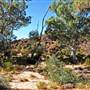 Mutawintji (Mootwingee) National Park