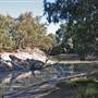 Menindee