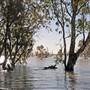 Menindee