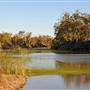Menindee