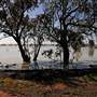 Menindee