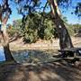 Menindee