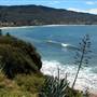 Sandon Point