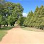 Saumarez Homestead - Armidale