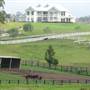 Lomar Park Stud