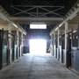 Lomar Park Stud